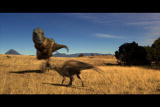 Dinosaur Planet: Daspletosaurus Hunt