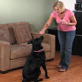 Petfinder: Basic Commands: Sit