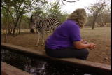 Growing Up Zebra: Zebra Release Plan