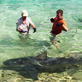 Shark Bites: Caught on Film