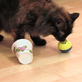 Petfinder: Fun Ways To Feed A Cat