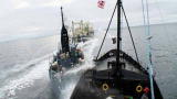 Whale Wars: Stink-Bombing a Harpoon Ship