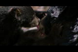 Natural World: Tongue Licking