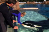 Planet's Best: Shamu Training