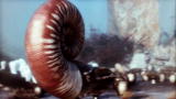 Animal Armageddon: Coiled Nautiloid