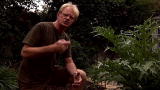 Living with Ed: Everyday Tips: Grow It On Site