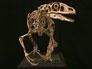 Discoveries This week: Utah Dinosaur
