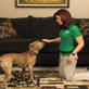 Petfinder: How to Teach 'Take a Bow'.