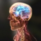 Surgery Saved My Life: Anti-Epileptic Drugs