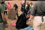 Weird True & Freaky: Dramatic Horse Rescue