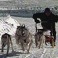 Breed All About It: Working Group