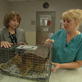 Animal Cops: Houston: Cat Evaluation