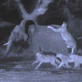 play video on Discovery Channel