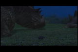 Mammals Vs. Dinos Shorts: Early Nocturnal Mammals