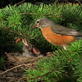 Happy Mother's Day: Feeding