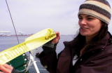 G-Word: Pacific Ocean Trash Vortex