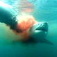 Best of Shark Week: Jaws of the Pacific