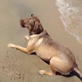 play video on Discovery Channel