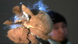 Time Warp: Kali vs Coconut