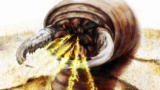 Lost Tapes: Death Worm