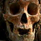 Into the Unknown: Young Mummies
