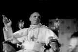 Conspiracy Test Shorts: Vatican Nazi Connection
