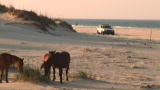 Jon & Kate Plus 8 : Wild Horses (Full Episode)