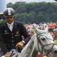 World Sporthorse Championships: Rodrigo Profile