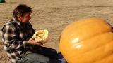 Wreckreation Nation: That's One Huge Pumpkin