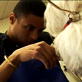 Groomer Has It: Meet Artist