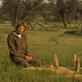 Meerkat Manor: Irresponsible Teenagers?