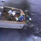 Untamed and Uncut: Marlin Fishing Gone Wrong