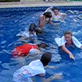 Bissell Pet Games Week 4: Brosco Walking on Water
