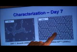 Perfect Predators Shorts: Shark Skin & Hospitals