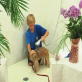 Petfinder: Bathing Tips