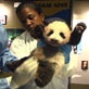 Panda Update: September Cub Exam
