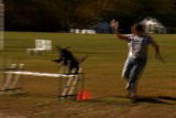 Planet's Best: Dog Camp Agility