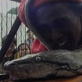 Weird True & Freaky: Four Story Python