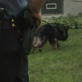 K9 Cops: The Nose Knows