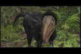 Mammals Vs. Dinos: Endothermic Predators