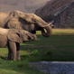 Planet Earth: Desert Rain
