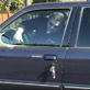 You Spoof Discovery: I Shouldn't Be Alive: Locked in SUV