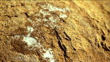 Prehistoric Disasters clips: Sciana Bacteria