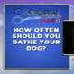 Groomer Has It: Pet Pointer - Bath Tip