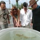 Shark Week Mini Myths: Bloody Taste Test
