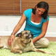 Petfinder: Filming Your Pet