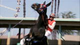Jockeys: On Horses
