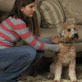 Petfinder: Does Your Dog Know His Name?