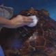 Hero of the Year: Jean Beasley: Turtle Post-Op Care