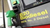Tree Hugger TV: Lovecraft Biofuels